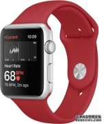 Apple Watch检测心律异常：准确