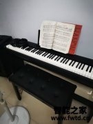罗兰电钢琴fp30怎么样质量好还是差,选购心得爆料! 