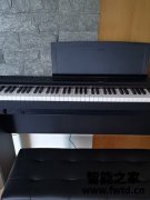 雅马哈电钢琴p125/115怎么样质量差不差？全方位深度解析 